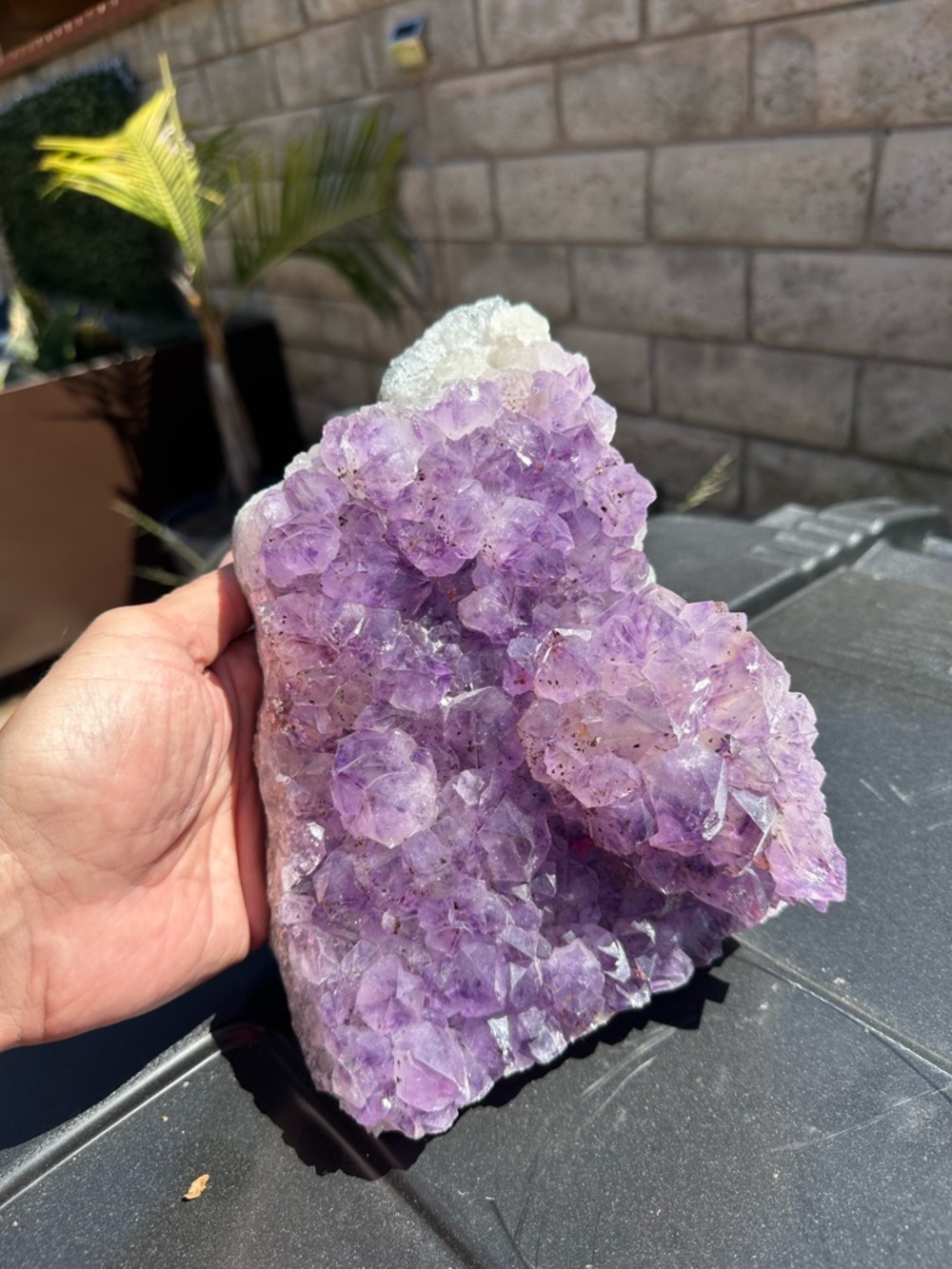 Amethyst Crystal Cluster - Purple Decorative Geode